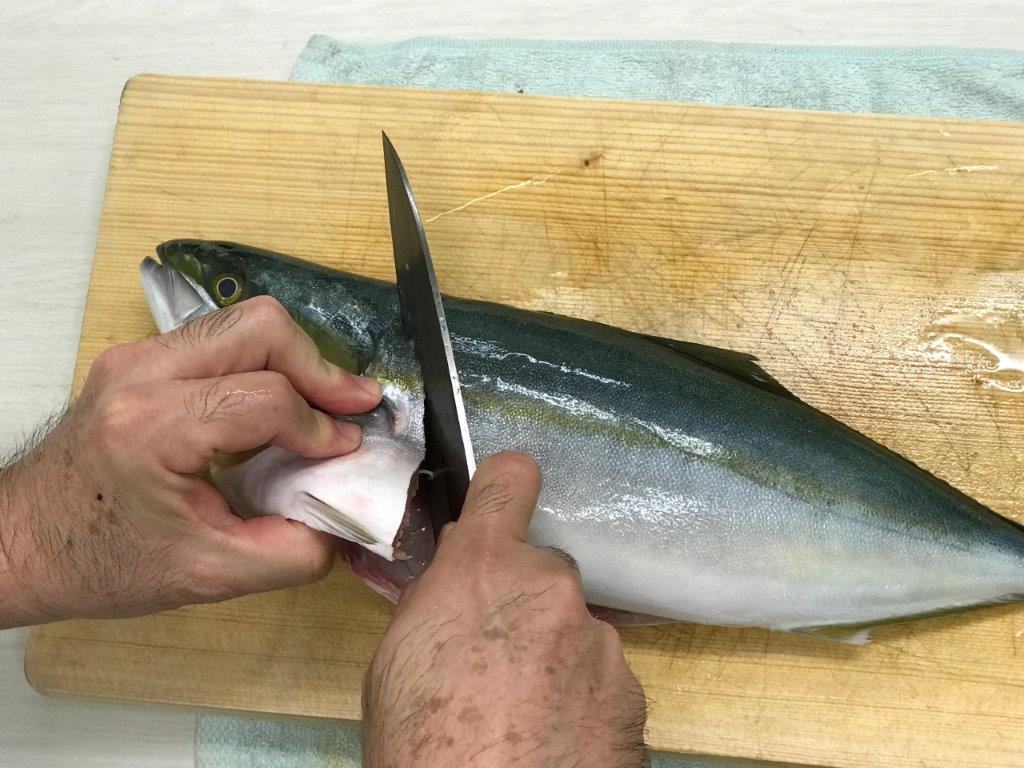 魚をさばいてみよう ハマチ編 かろいち