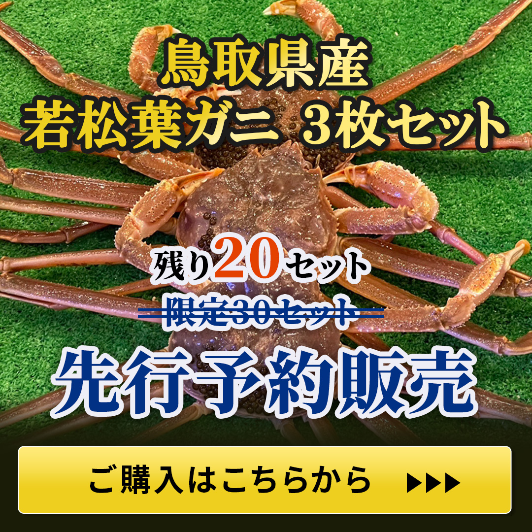 鳥取県産松葉ガニ＆親ガニのお試しセット・送料無料・10,000円（税込）