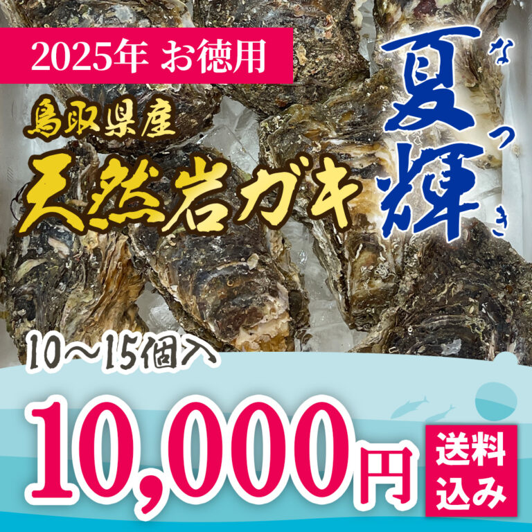 20240529-1