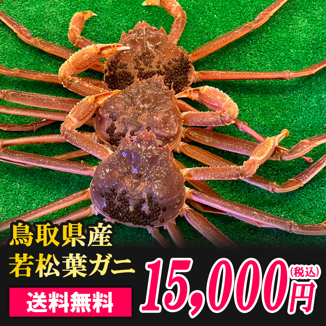 松葉ガニの画像