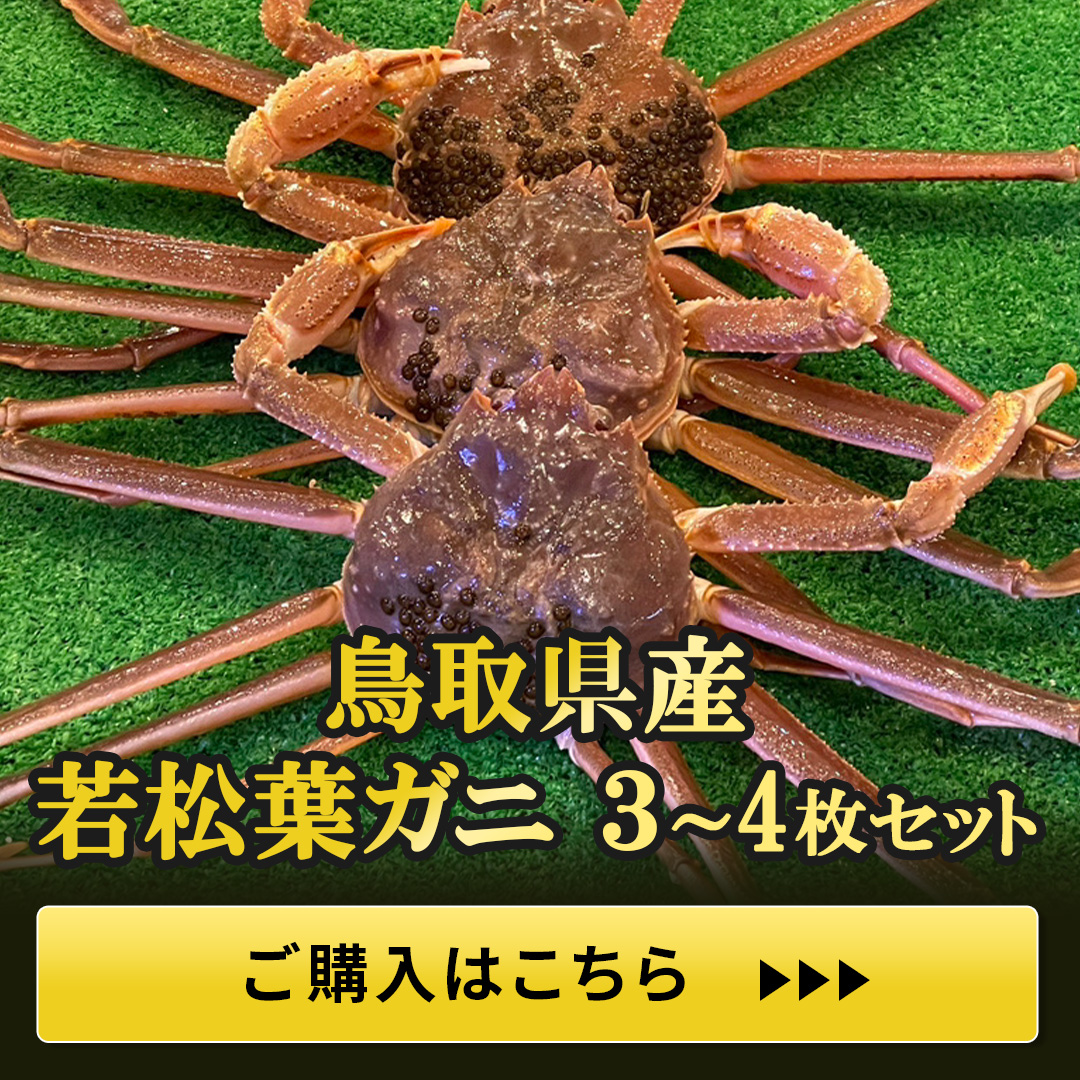 鳥取県産若松葉ガニセット