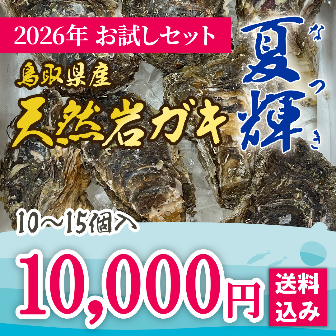 岩ガキの画像