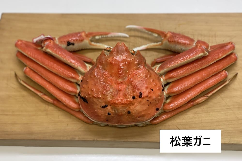松葉ガニ